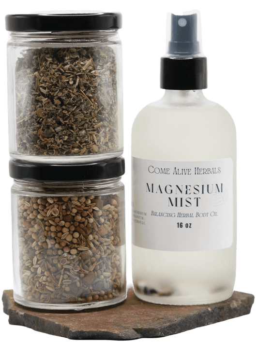 Yogi Gut Bundle